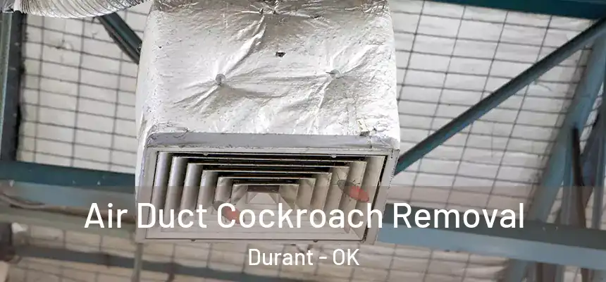 Air Duct Cockroach Removal Durant - OK