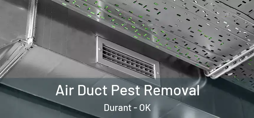 Air Duct Pest Removal Durant - OK