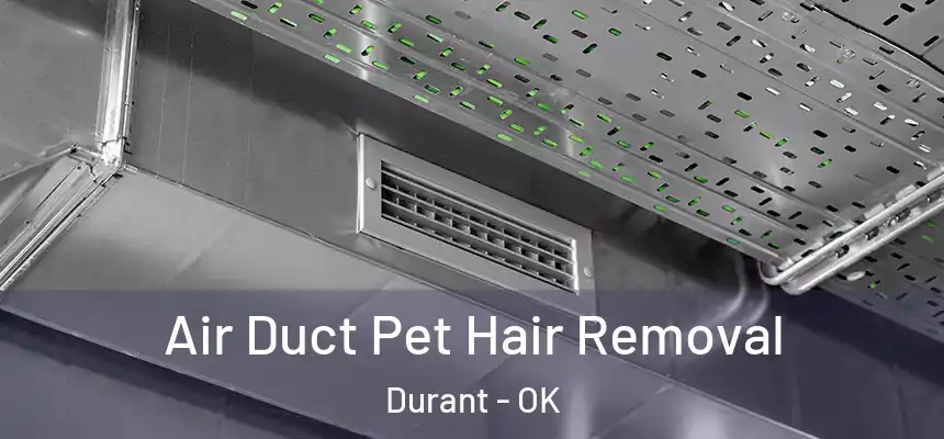  Air Duct Pet Hair Removal Durant - OK