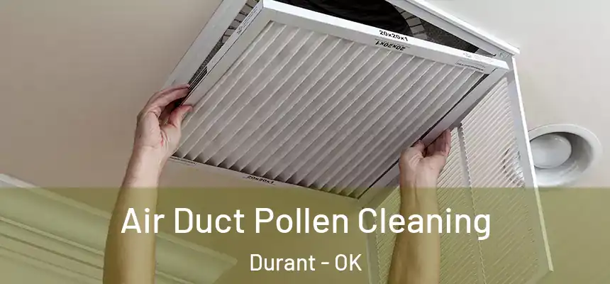 Air Duct Pollen Cleaning Durant - OK