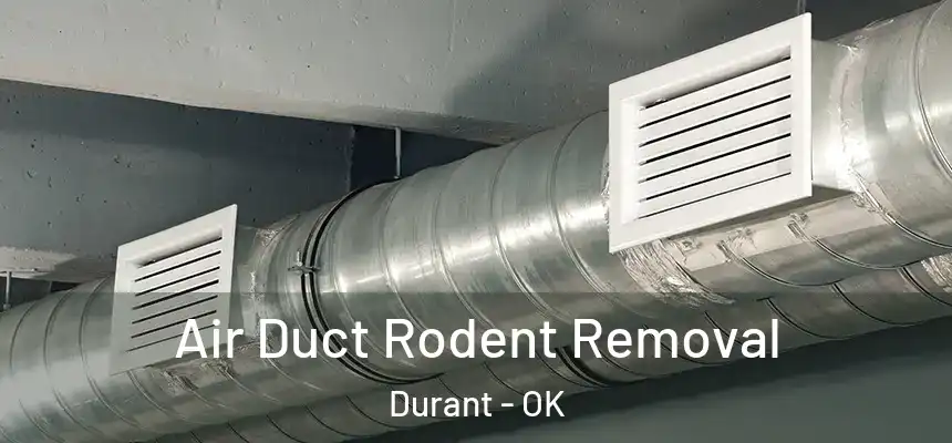 Air Duct Rodent Removal Durant - OK