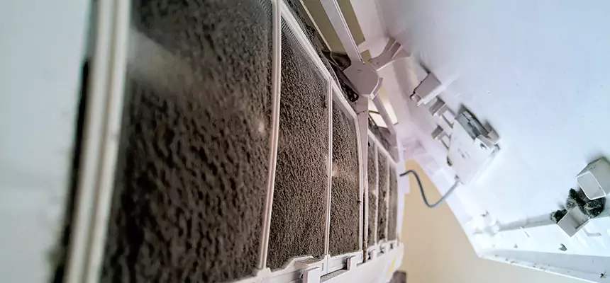 Preventive Air Duct Bacteria Removal in Durant