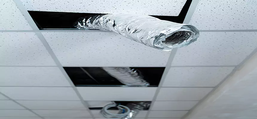 Our Air Duct Pet Hair Removal Services in Durant, OK