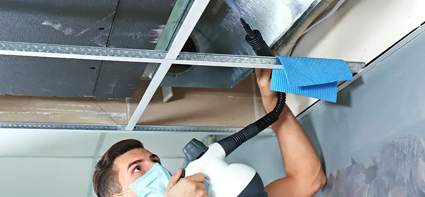 Our Air Duct Rodent Removal Services in Durant, OK