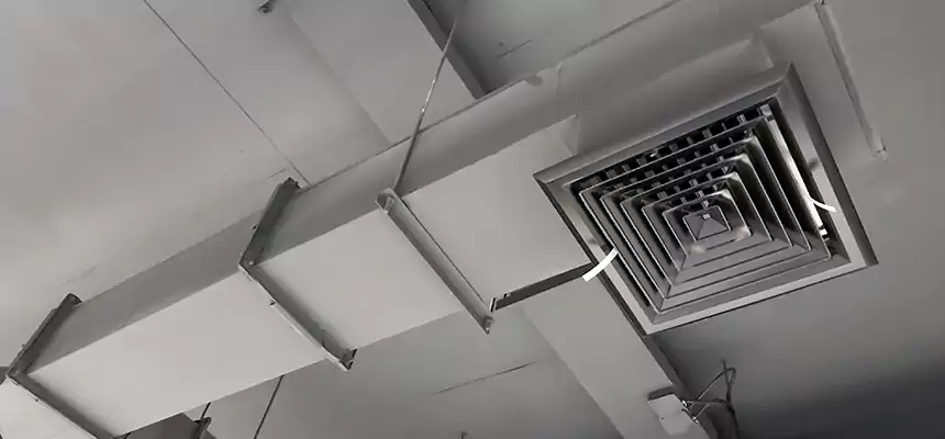 Our Rodent Droppings In Vents Services in Durant, OK