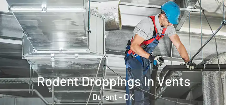  Rodent Droppings In Vents Durant - OK