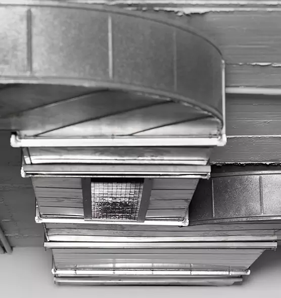 Professional Air Duct Pest Removal in Durant, OK