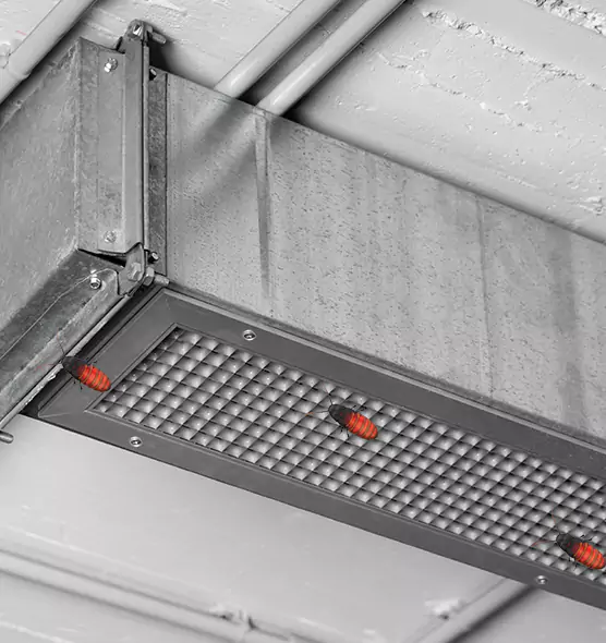 Affordable Insect Removal from Air Ducts in Durant, OK