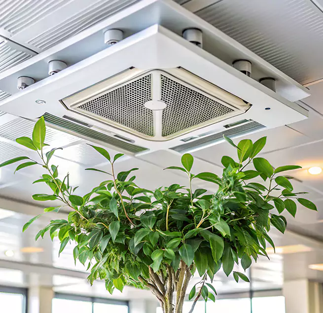 Why Homeowners & Businesses Trust Us in Durant, OK